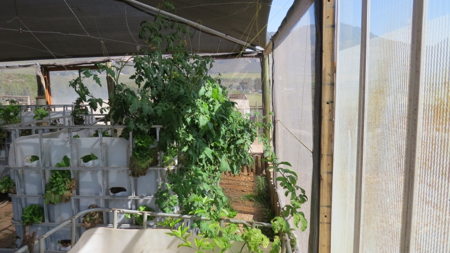 Commercial Property for Sale in Montagu Rural Western Cape